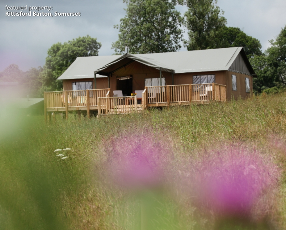 Lantern and Larks, Kittisford Barton image